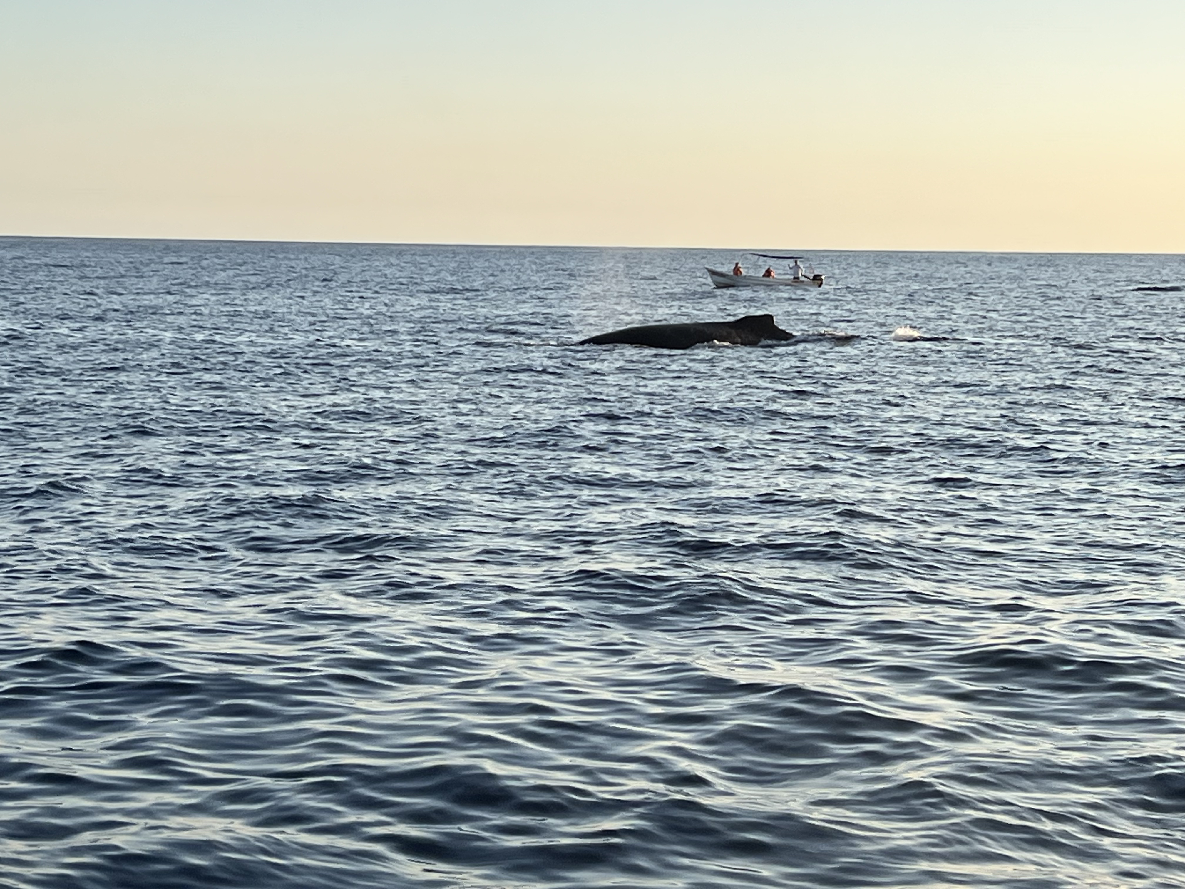 ./2024/13 - Cabo/IMG_4735.jpg